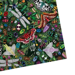 The Art File: Winged Wonders Collage