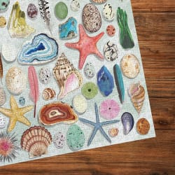 The Art File: Natural Curiosities  - Scratch and Dent Collage
