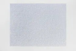 Snow Impuzzible No.45 Monochromatic