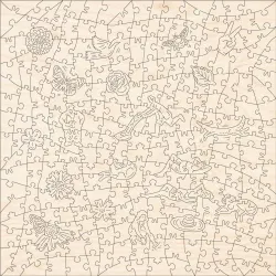 Sunny Suburban Sunday Summer