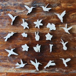 Hummingbirds (Trochilidae) Birds