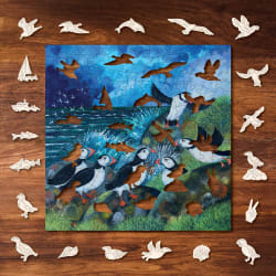 Puffins Birds