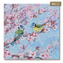 Blossom & Blue Tits Birds