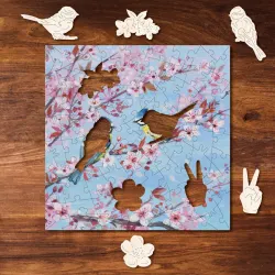 Blossom & Blue Tits Birds