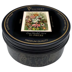 Orchids MINI QT Flower & Garden