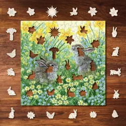 Sunshine & Spring Flowers Flower & Garden