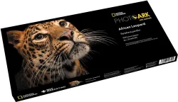 African Leopard Jungle Animals