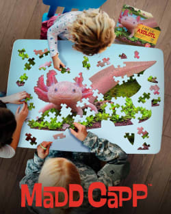 I AM LiL&rsquo; AXOLOTL Animals