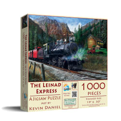 The Leinad Express Train