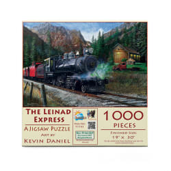 The Leinad Express Train