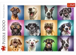 Funny Dog Portraits Animals