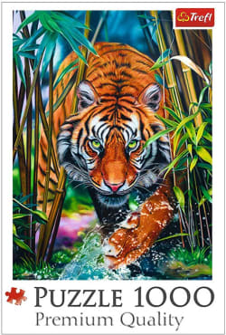 Grasping Tiger Big Cats