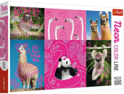 Crazy Animals Animals