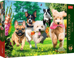 Premium Plus Here Comes Trouble! Dogs