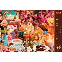 Premium Plus All Things Nice Cats