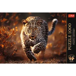 Premium Plus Wild Leopard Big Cats