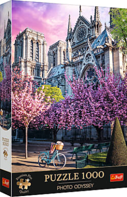 Premium Plus Notre-Dame Cathedral of Paris Travel