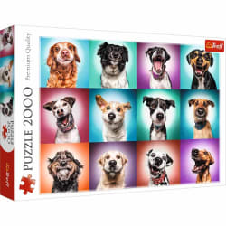 Funny Dog Portraits II Dogs