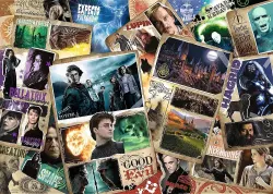 Harry Potter, Characters / Warner Harry Potter Movies & TV
