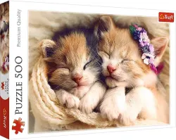Sleeping Kittens Cats