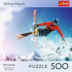 Sports Skiing Moguls Winter