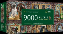 Whiskered Wonders Cats