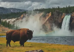 Red Where the Buffalo Roam Animals