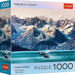 Red Nature Whale Watching Travel