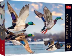 Premium Plus Mallards in Flight Birds