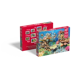 Living Reef Sea Life