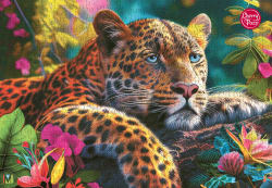 Reclining Leopard Big Cats