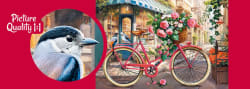 Flower Delivery Bicycle
