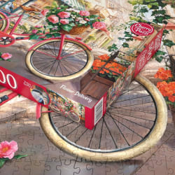 Flower Delivery Bicycle