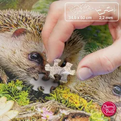 Cute Visitors Animals