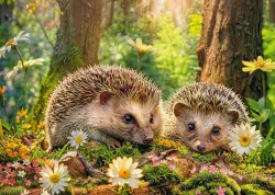 Cute Visitors Animals