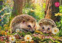 Cute Visitors Animals
