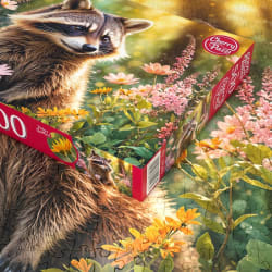 A Woodland Explorer Animals