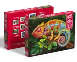 Chameleon Reptile & Amphibian