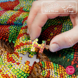 Chameleon Reptile & Amphibian