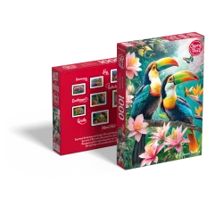 Toucans' Paradise Birds