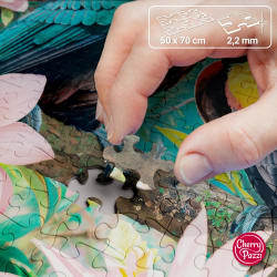 Toucans' Paradise Birds