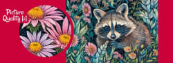 Raccoon in Flowers Animals