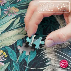 Raccoon in Flowers Animals