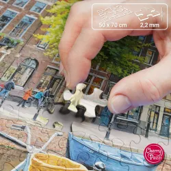 Amsterdam Tulips Amsterdam