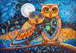 Moonlit Moments Birds