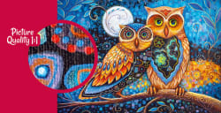 Moonlit Moments Birds