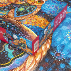 Moonlit Moments Birds