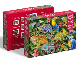 Amazing Chameleons Reptile & Amphibian