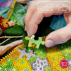 Amazing Chameleons Reptile & Amphibian