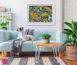 Amazing Chameleons Reptile & Amphibian